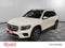 2020 Mercedes-Benz GLB GLB 250