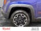 2017 Jeep Renegade Trailhawk